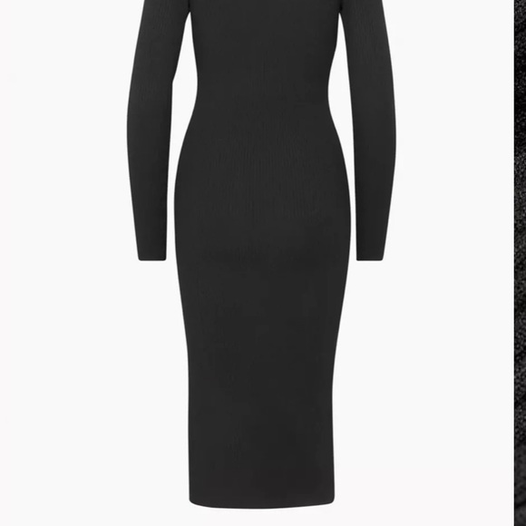 Brand New With Tags Alchemy Dress from Aritzia - Picture 4 of 7